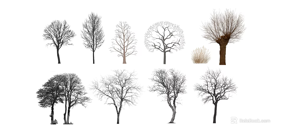 Various Types Of Arbor Trees Showing Different Silhouettes And Branch Structures 3d model 