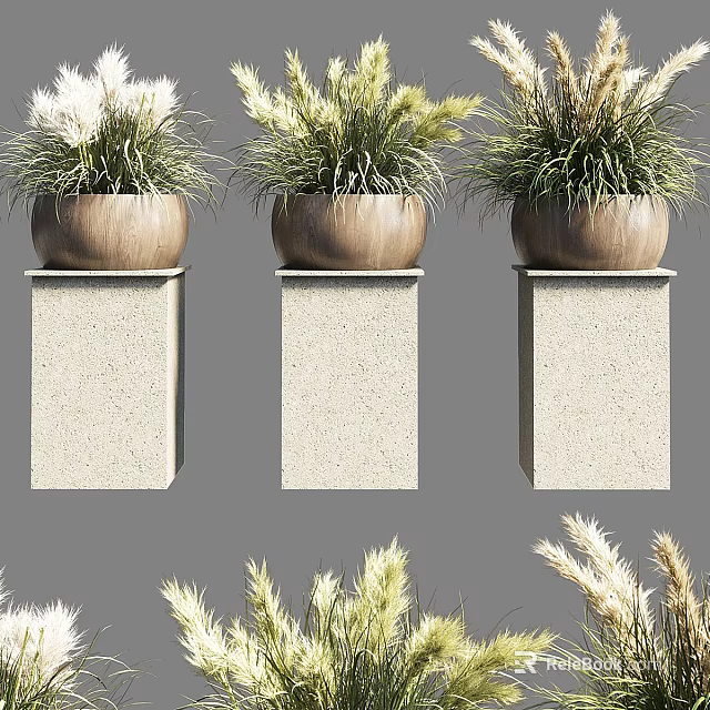 Bonsai Potted Plants On Stone Pedestals With Green And White Foliage In Minimalist Natural Style 3d model 
