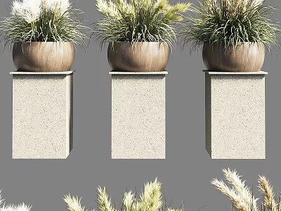 Bonsai Potted Plants On Stone Pedestals With Green And White Foliage In Minimalist Natural Style 3d model