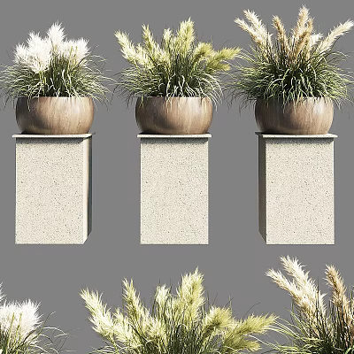 Bonsai Potted Plants On Stone Pedestals With Green And White Foliage In Minimalist Natural Style 3d model