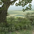 Lush Green Landscape With Ancient Tree Rolling Hills Low Shrubs And Wildflowers