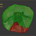 Fossilized Ancient Creature With Preserved Organs And Hair Like Setae On Stone