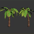 Two Palm Trees with Lush Green Leaves and Brown Trunks on Gray Background with Reflections