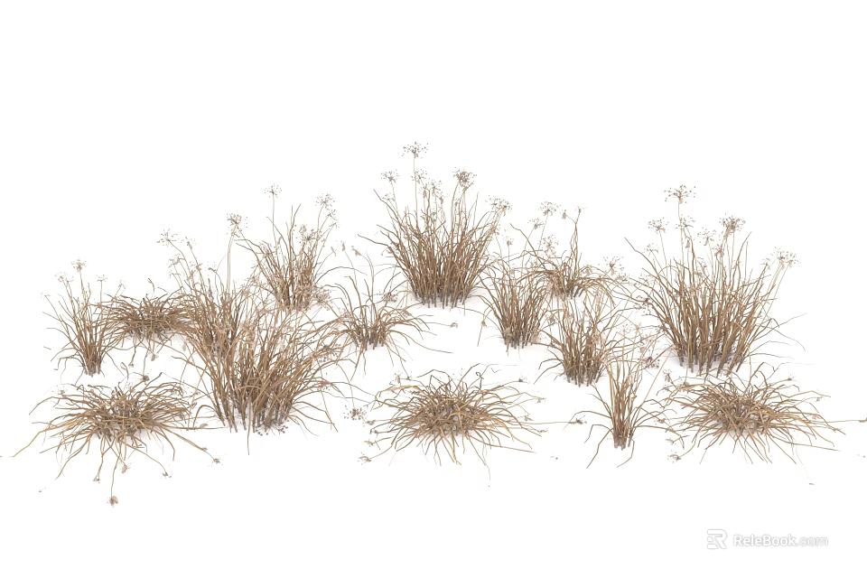 Dried Wild Grass Clumps With Withered Tops In Scattered Natural Arrangement 3d model 