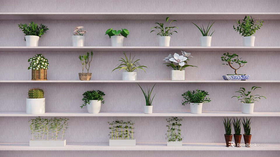 Various Bonsai and Potted Plants on Multiple Shelves for Indoor Decorative 3d model 