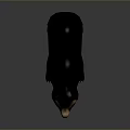 Realistic Black Bear With Brown Face And Chest Standing On Gray Gradient Background 3d model