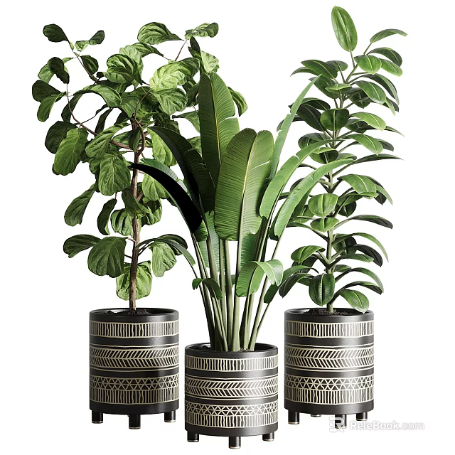 Three Lush Bonsai Potted Plants with Patterned Planters and Green Leaves 3d model 