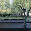 Contemporary Garden Landscape With Stepped Platform Trees Green Hedges Wooden And Black Walls