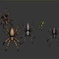 Three Varied Colored Spiders with Detailed Designs and Distinct Features