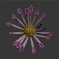 Pink Flower With Vibrant Petals Yellow Center And Green Stem On Dark Background