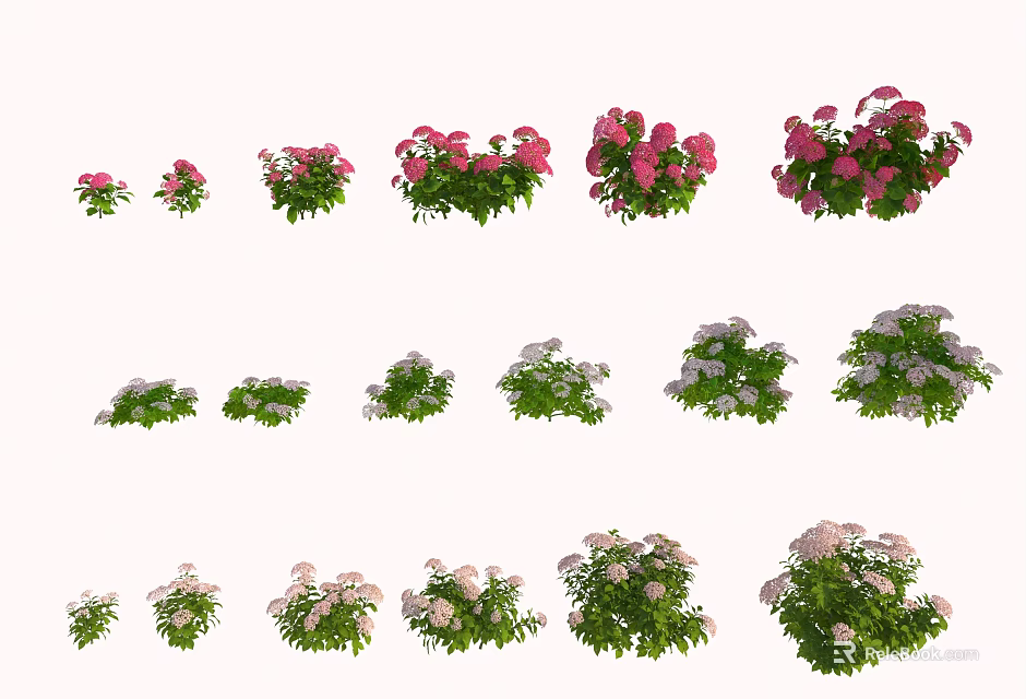 Decorative Flower Plants with Pink White Blooms and Green Foliage in Various Sizes 3d model 