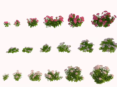 Decorative Flower Plants with Pink White Blooms and Green Foliage in Various Sizes 3d model