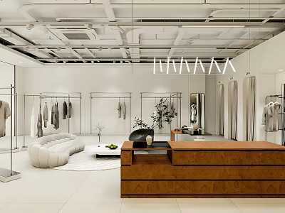 Modern Clothing Store Interior With Clothing Racks Sofa Wooden Reception Desk And Indoor Plant 3d model