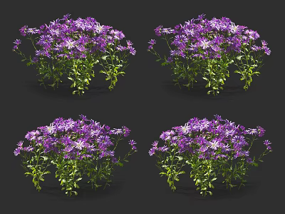 Purple Flowers in Vase with Green Stems Leaves Displayed in Multiple Views on Black Background 3d model