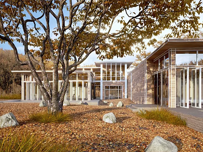 Contemporary Single Family House Exterior With Glass Walls Trees Fallen Leaves And Natural Stones 3d model