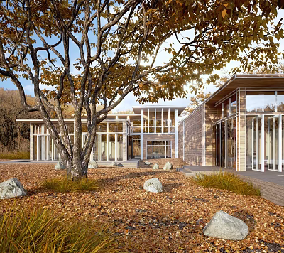 Contemporary Single Family House Exterior With Glass Walls Trees Fallen Leaves And Natural Stones 3d model