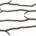 Natural Stone And Wood Branches For Rustic Craft Decor Projects 3d model
