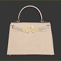 Pink Classic Handbag with Gold Lock and Handle Elegant Design for Fashionable Outfits