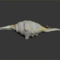 Colorful Marine Snail With Spiral Shell And Tentacle Like Projections In Ocean