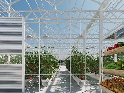 Greenhouse Interior With Tomato Plants Vegetable Shelves Glass Framework And Growing Troughs 3d model