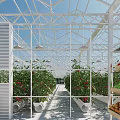 Greenhouse Interior With Tomato Plants Vegetable Shelves Glass Framework And Growing Troughs