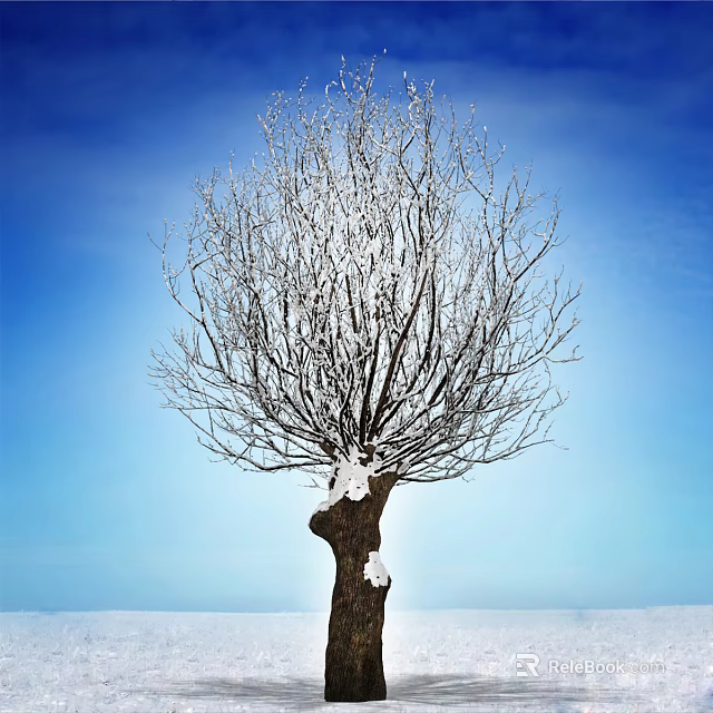 Bare Arbor Tree With Snow Covered Branches Against Blue Sky And Snowy Ground 3d model 