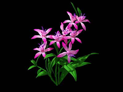 Beautiful Pink Flowers With Green Leaves In Cluster On Black Background 3d model