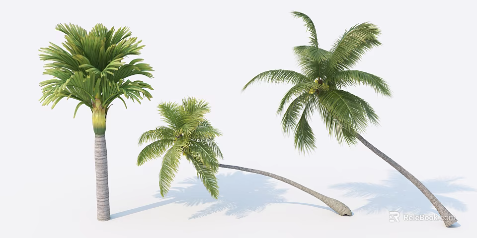 Three Tropical Palm Trees With Lush Green Fronds And Curved Trunks 3d model 