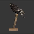 Realistic Black Bird Perched On Tree Branch With Wooden Base Stand