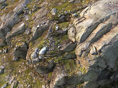 Natural Stone And Wood Features In Rocky Terrain With Green Moss Details 3d model