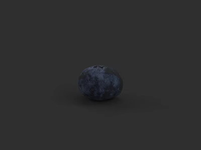 Fresh Ripe Blueberry With Deep Blue Color And Glossy Surface On Dark Background 3d model