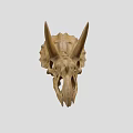 Triceratops Skull Fossil With Prominent Horns And Detailed Skeletal Structure On Neutral Background