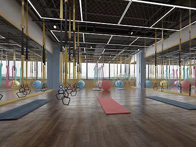Fitness Studio Interior With Suspension Straps Yoga Balls And Yoga Mats Mirrors Wooden Floors 3d model