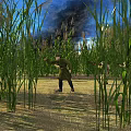 Lush Tall Reed Field Natural Scenery With Soldiers Marching Through Under Bright Blue Smoky Sky