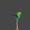 Colorful Parrot with Green Yellow Blue and Red Feathers Perched on a Branch
