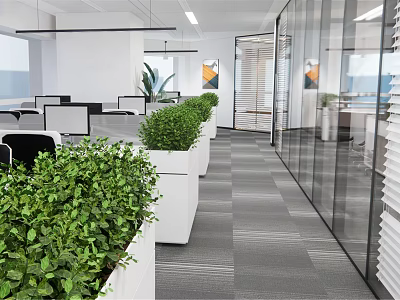 Modern Public Office Space Interior Design With Green Plants In White Planters And Glass Partitions 3d model