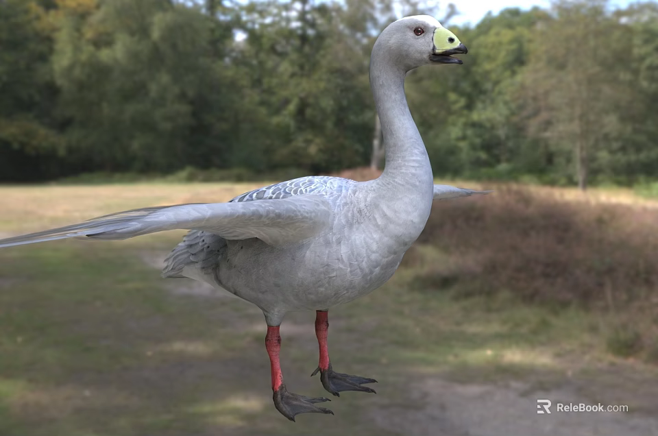 Grayish White Goose With Spread Wings In Outdoor 3d model
