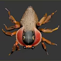 3D Rendered Orange Red Spider With Detailed Legs On Dark Background