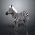 Standing Zebra With Black And White Stripes On Gray Background 3d model