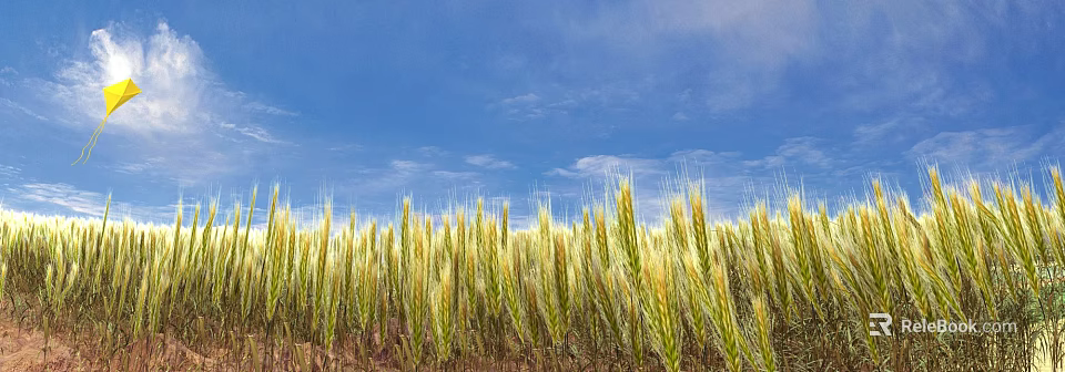 Golden Wheat Field Under Blue Sky With Fluffy White Clouds Scenic View 3d model 