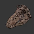 Ancient Dinosaur Skull Fossil With Sharp Teeth And Detailed Bone Structure 3d model