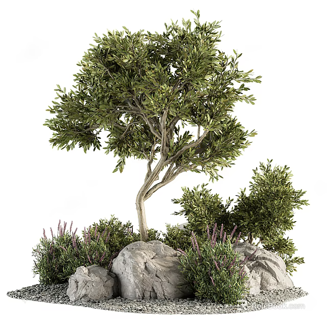 Arbor Tree with Dense Lush Green Foliage and Rock Shrub Surroundings 3d model 
