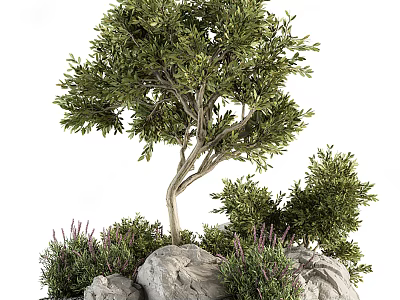 Arbor Tree with Dense Lush Green Foliage and Rock Shrub Surroundings 3d model
