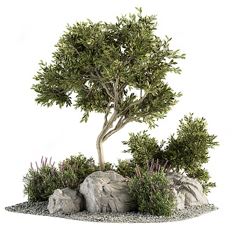 Modern Tree Landscape Tree 3d model