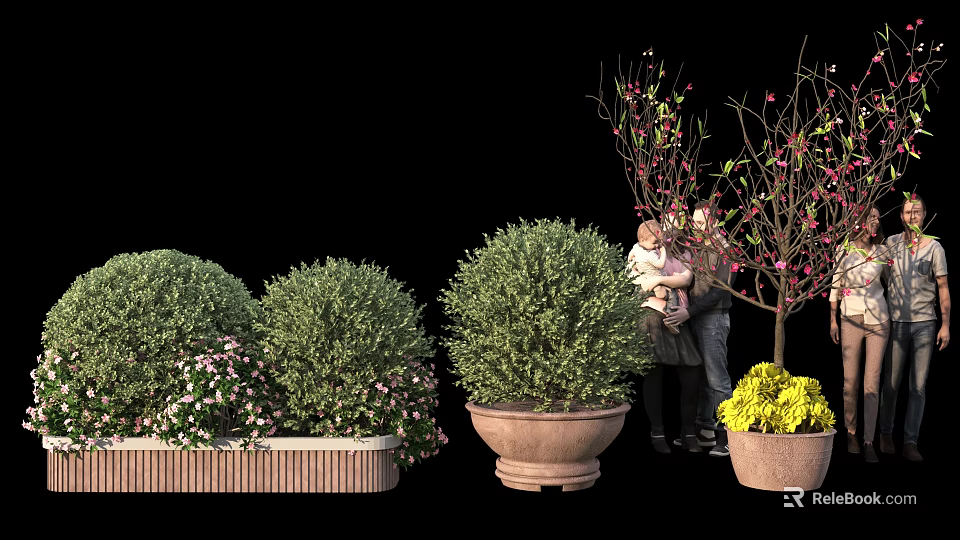 Beautiful Bonsai Potted Plants With Green Shrubs And Flowering Tree In Decorative Pots 3d model 