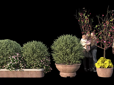 Beautiful Bonsai Potted Plants With Green Shrubs And Flowering Tree In Decorative Pots 3d model