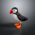 Adorable Puffin with Black Back White Belly Orange Beak and Feet as Flying Animal