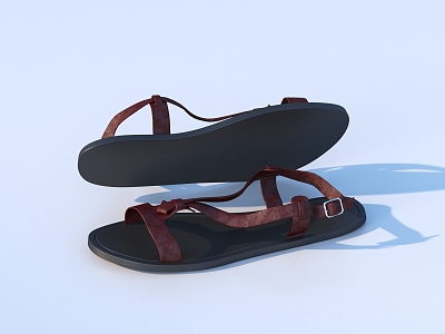 Shoes Sandals Shoes 3d model