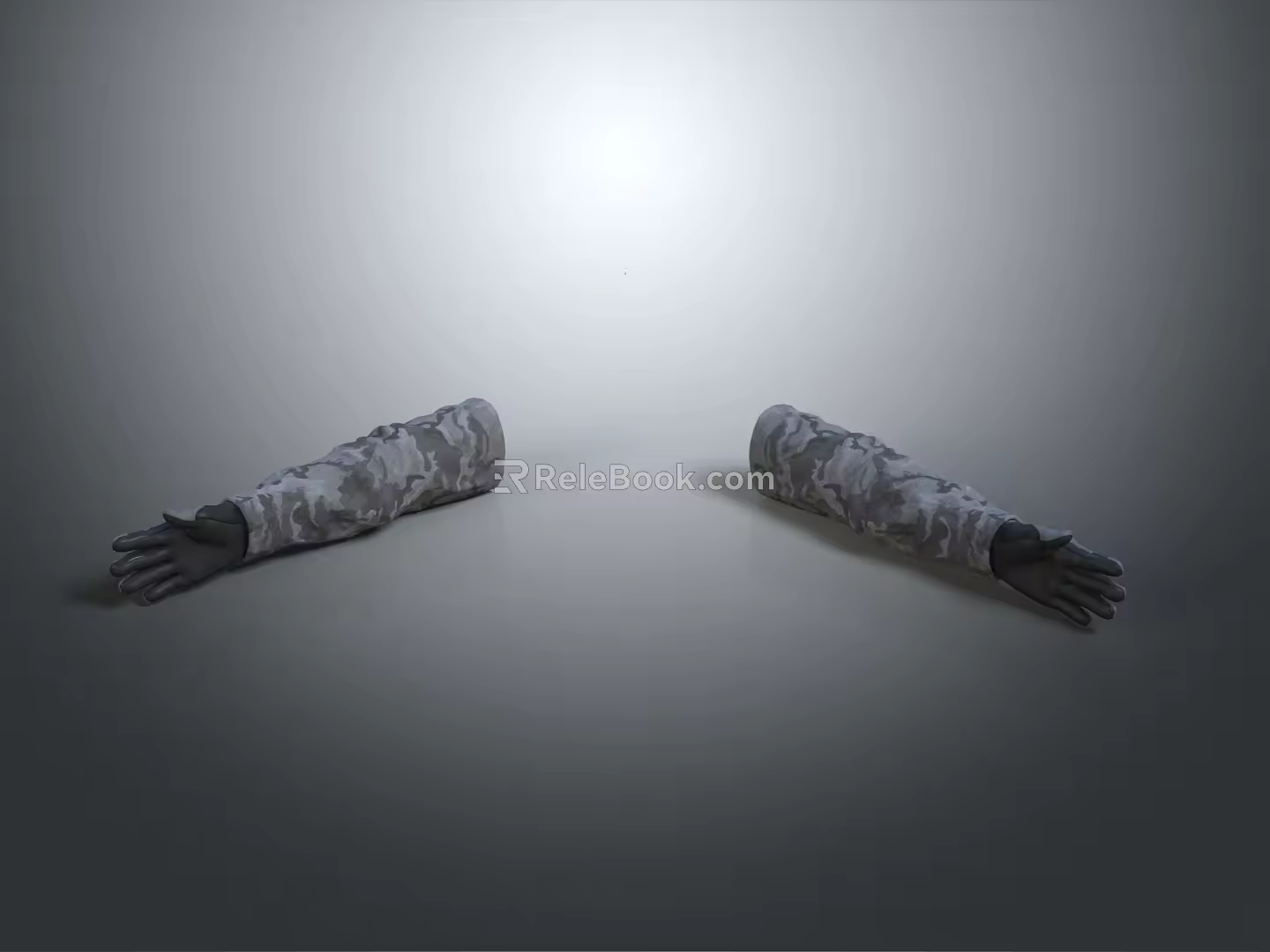 Gesture Arm Human Organ Human Arm Human Right and Left Hand 3d model
