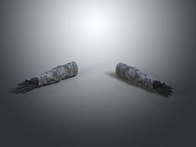 Gesture Arm Human Organ Human Arm Human Right and Left Hand 3d model
